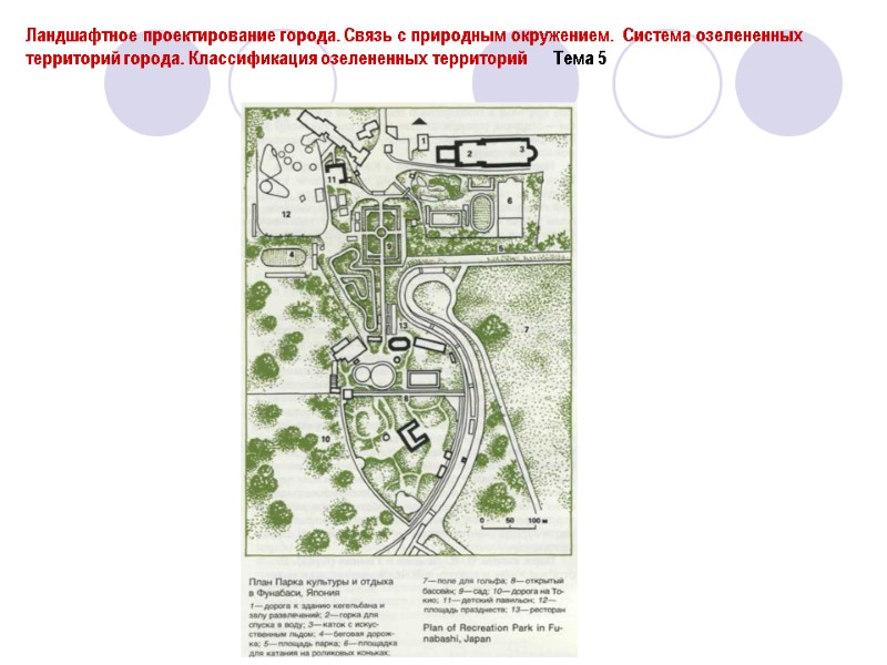 Ландшафтное проектирование города. Связь с природным окружением.  Система озелененных территорий города. Классификация озелененных